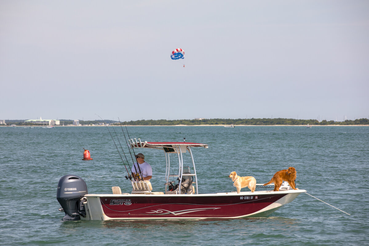 shackleford banks island fishing boat anchored with dogs